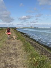 Waling up The Swale towards the paper mill and power station